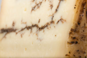 Moliterno truffé